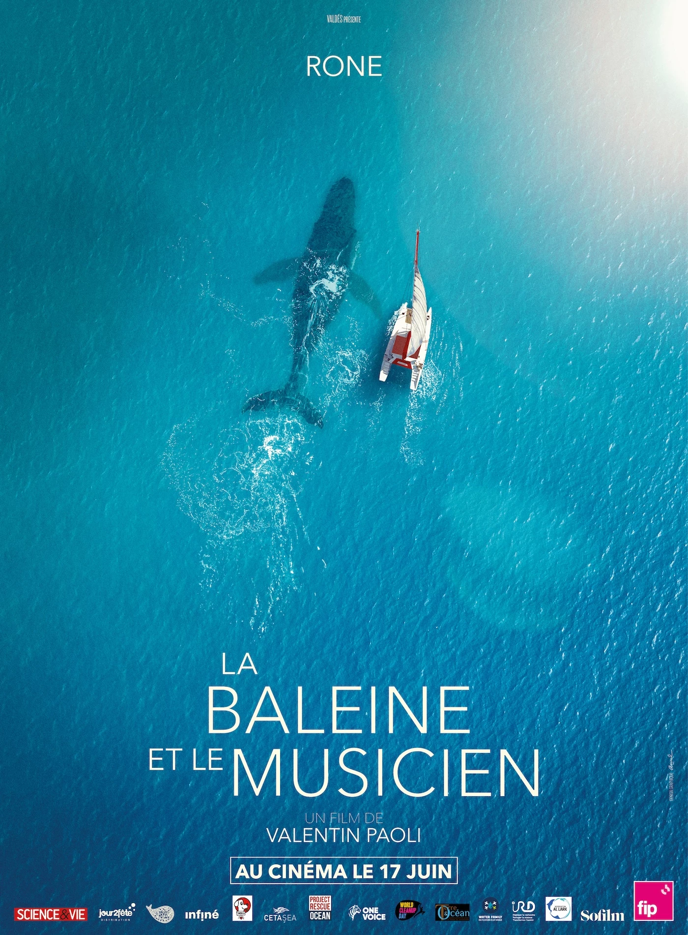 La Baleine et le Musicien (Les Monteuses et monteurs associ&eacute;s)