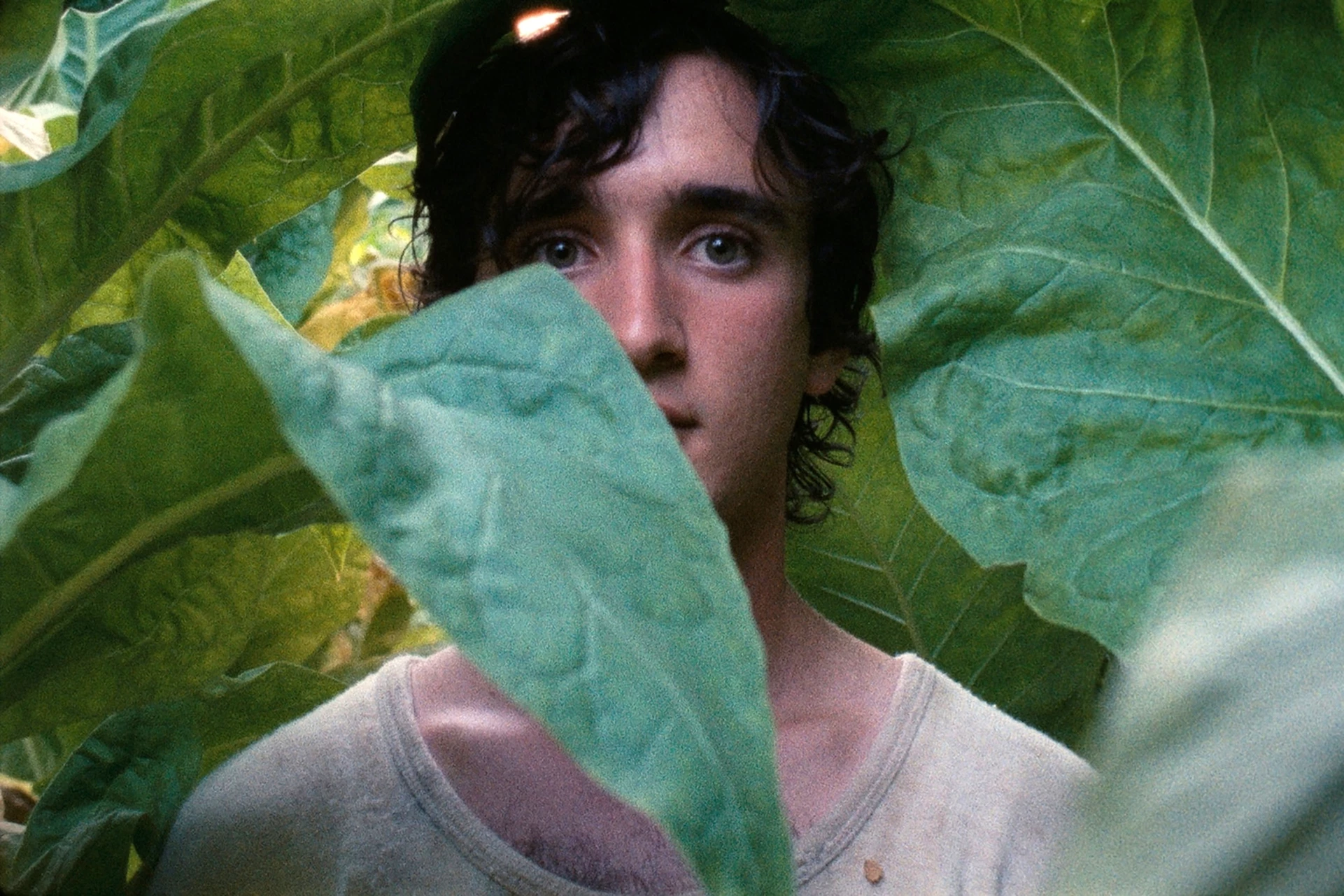 &laquo;&nbsp;Heureux comme Lazzaro&nbsp;&raquo; d&rsquo;Alice Rochwacher, mont&eacute; par Nelly Quettier (Les Monteuses et monteurs associ&eacute;s)